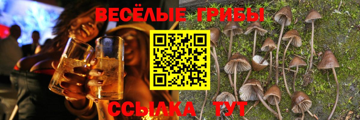 Галлюциногенные грибы мухоморы Углич