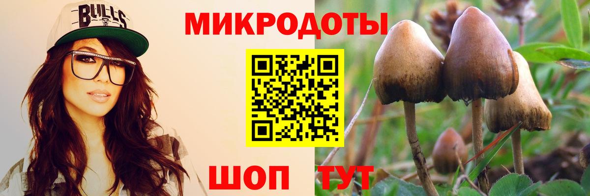купить   Псилоцибиновые грибы Cubensis  Вход с VPN  Углич 